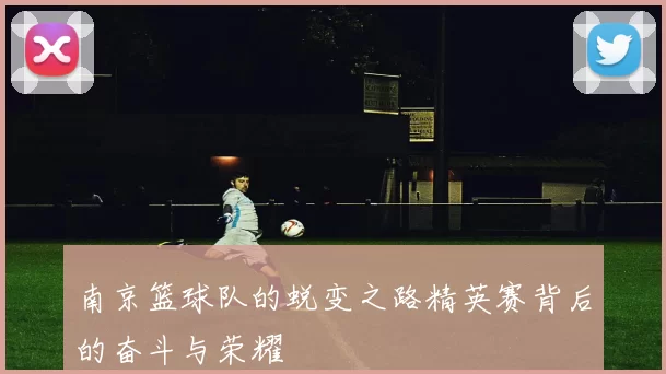 南京篮球队的蜕变之路精英赛背后的奋斗与荣耀
