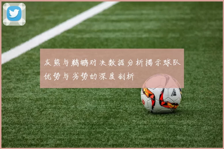 灰熊与鹈鹕对决数据分析揭示球队优势与劣势的深度剖析