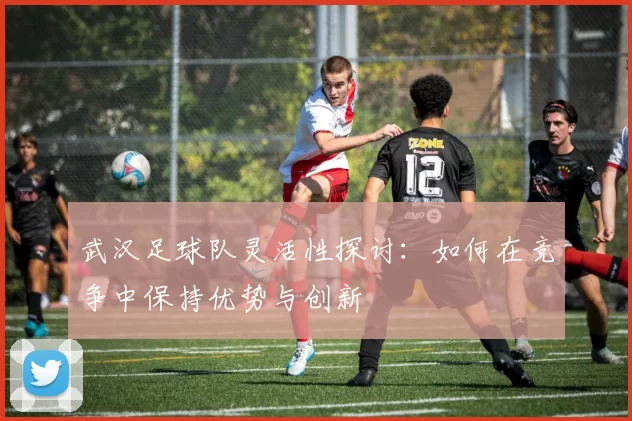 武汉足球队灵活性探讨：如何在竞争中保持优势与创新