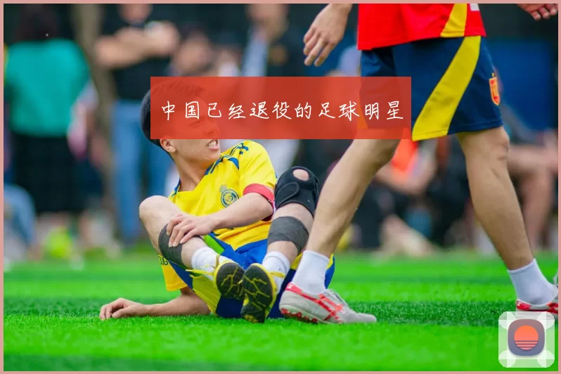 中国已经退役的足球明星