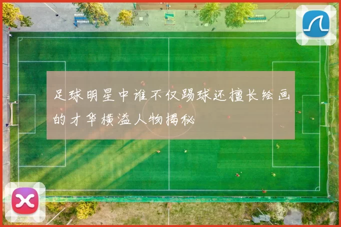 足球明星中谁不仅踢球还擅长绘画的才华横溢人物揭秘