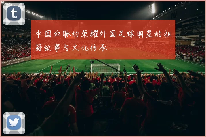 中国血脉的荣耀外国足球明星的祖籍故事与文化传承