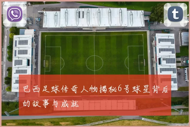 巴西足球传奇人物揭秘6号球星背后的故事与成就