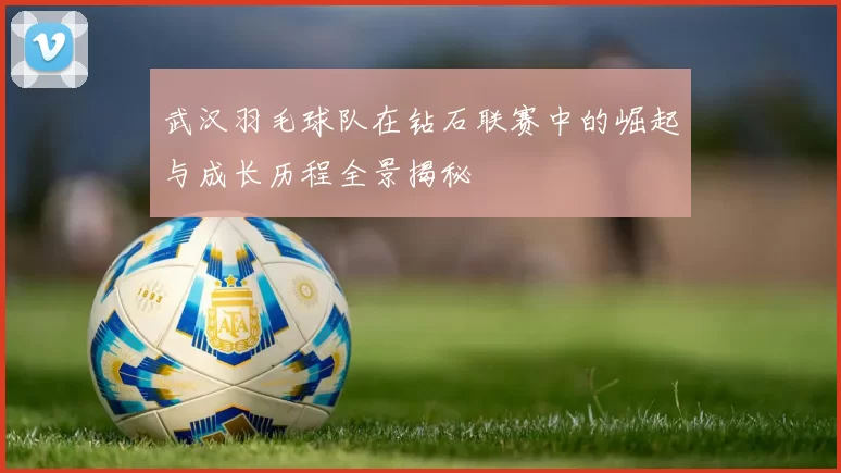 武汉羽毛球队在钻石联赛中的崛起与成长历程全景揭秘