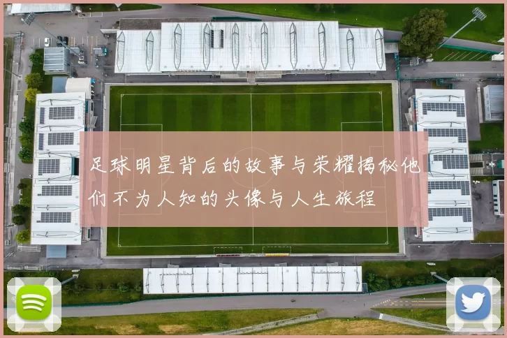 足球明星背后的故事与荣耀揭秘他们不为人知的头像与人生旅程