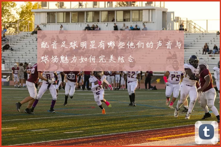 配音足球明星有哪些他们的声音与球场魅力如何完美结合