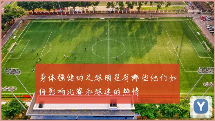 身体强健的足球明星有哪些他们如何影响比赛和球迷的热情