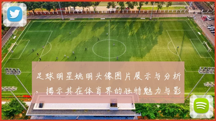 足球明星姚明头像图片展示与分析，揭示其在体育界的独特魅力与影响力