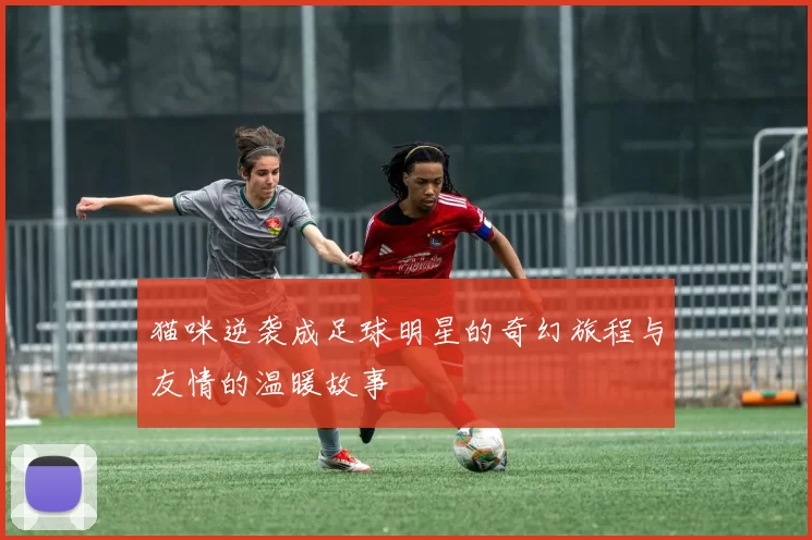 猫咪逆袭成足球明星的奇幻旅程与友情的温暖故事
