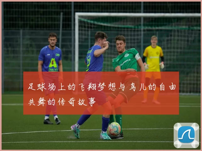 足球场上的飞翔梦想与鸟儿的自由共舞的传奇故事