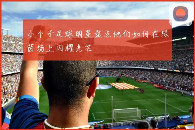 小个子足球明星盘点他们如何在绿茵场上闪耀光芒